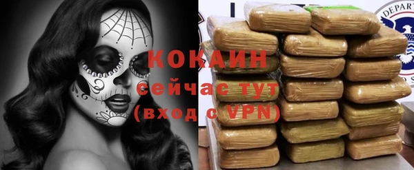 трава Беломорск