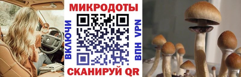 Псилоцибиновые грибы прущие грибы  Шагонар 